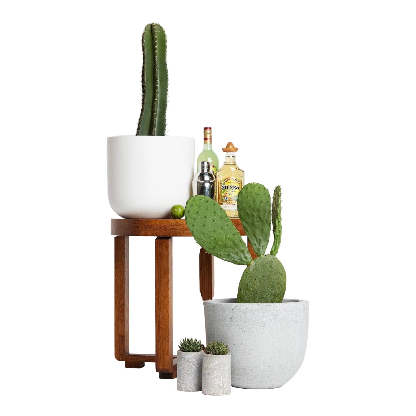 WORKMAN™ Hardware – San Pedro Cactus, Iconic Andean Cactus