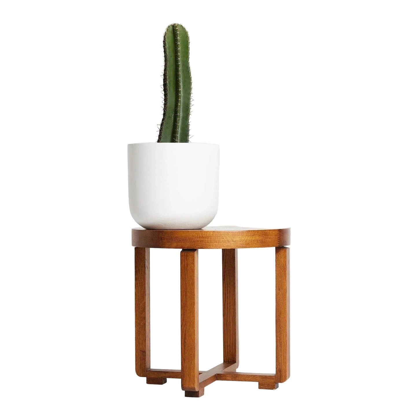WORKMAN™ Hardware – San Pedro Cactus, Iconic Andean Cactus