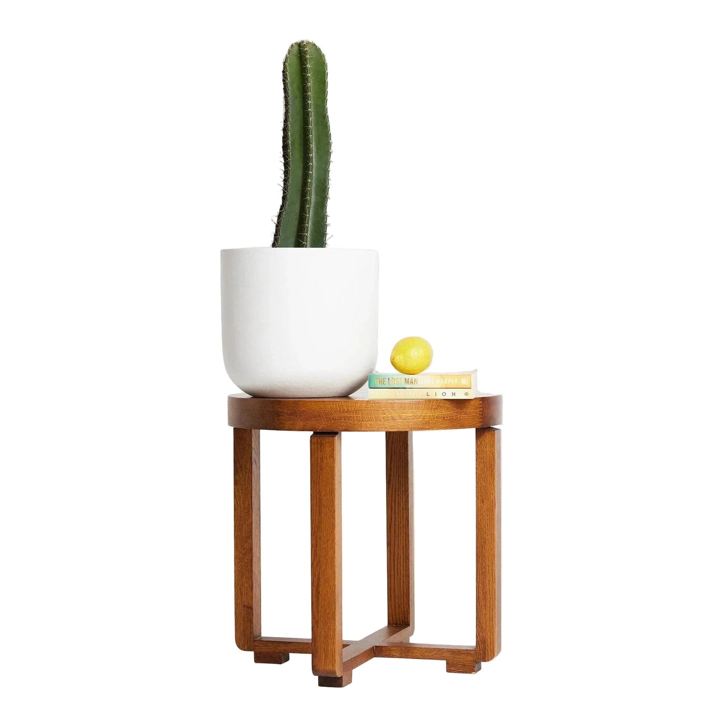WORKMAN™ Hardware – San Pedro Cactus, Iconic Andean Cactus